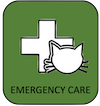 A Cattery in Spain that provides Emergency care for your cat in their care 